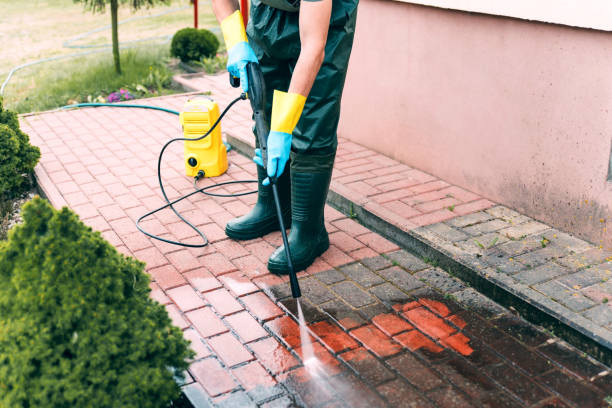 Best Pressure Washing Driveway  in Lake Heritage, PA