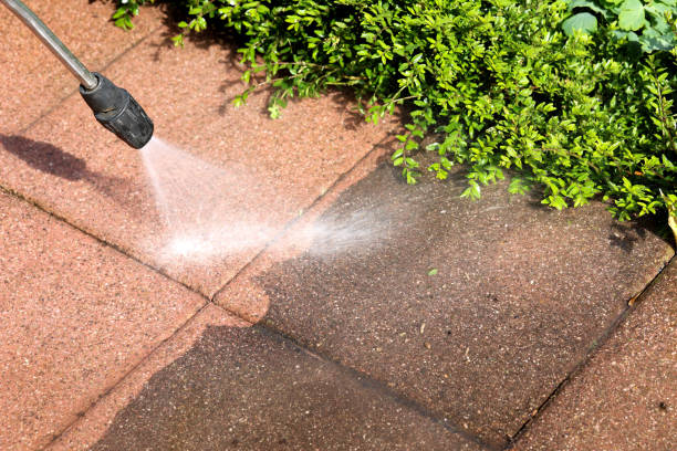 Best Pressure Washing Near Me  in Lake Heritage, PA